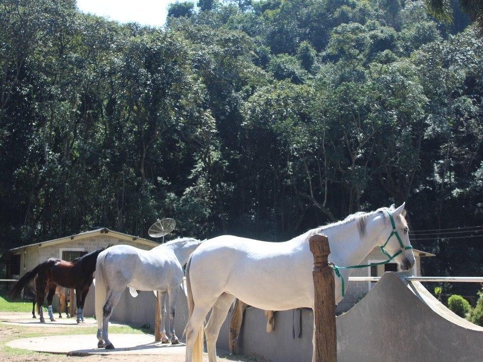 Hotel Fazenda Apm Caieiras Luaran gambar